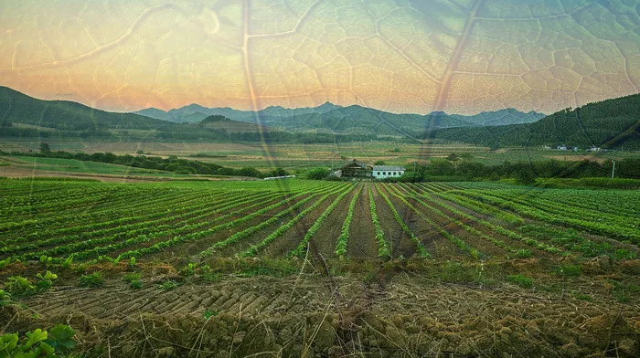 도산전문변호사