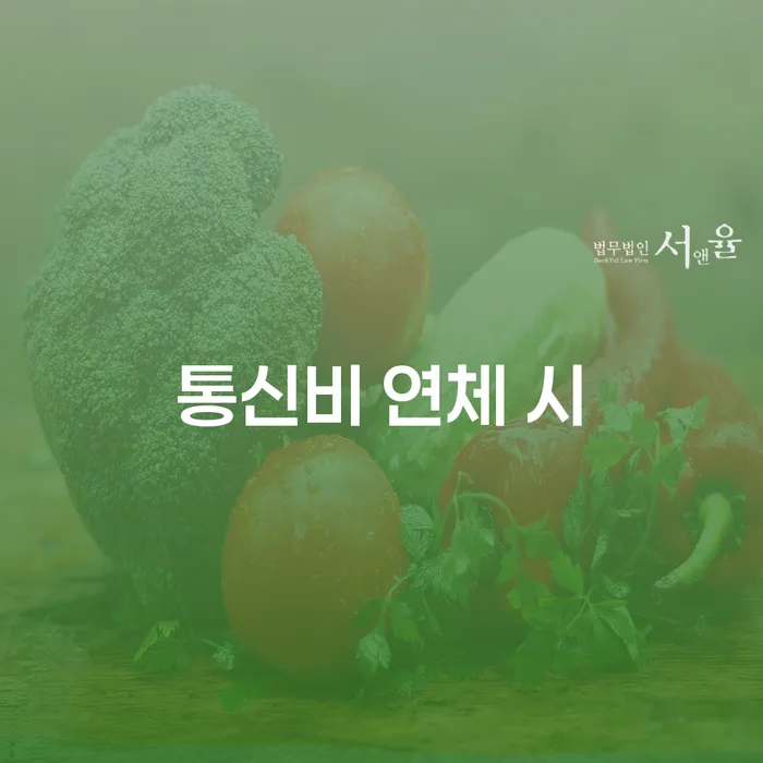신용회복대출 대출 연체 개인회생 잘하기