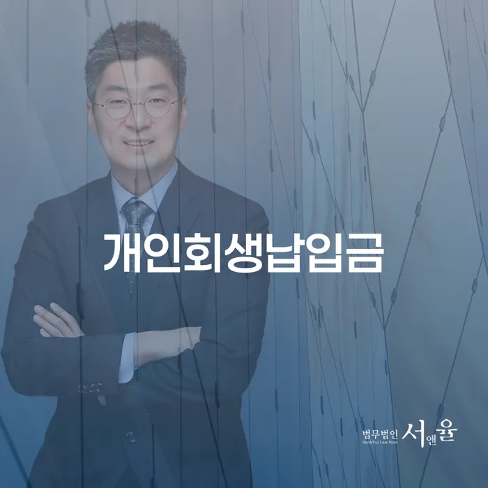 개인회생금지명령기각 카드빚 연체 여기서 확인!