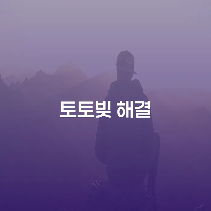 개인회생비용 빚 합법적인 빠른방법 적정한