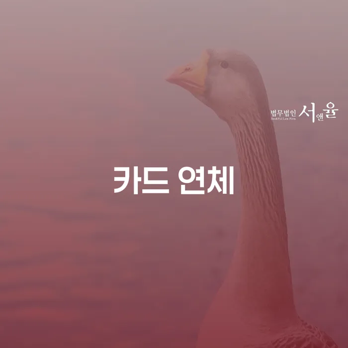개인회생성공사례 개인회생 제도 고민만 하지 말고