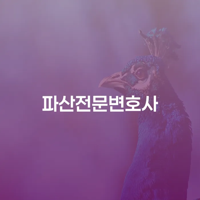 은행빚탕감 신용회복 주목받는