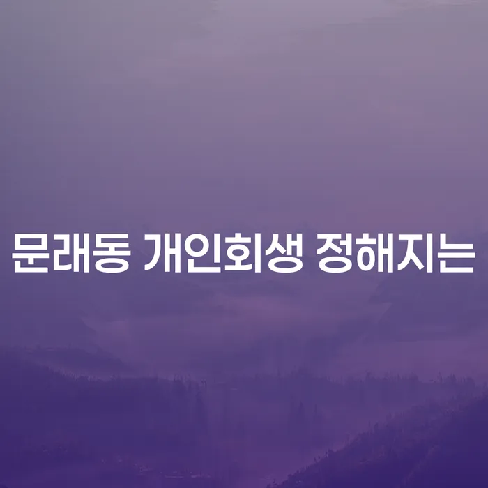 문래동 개인회생 정해지는