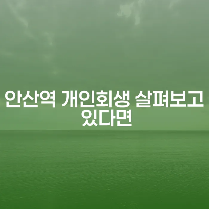 안산역 개인회생 살펴보고 있다면