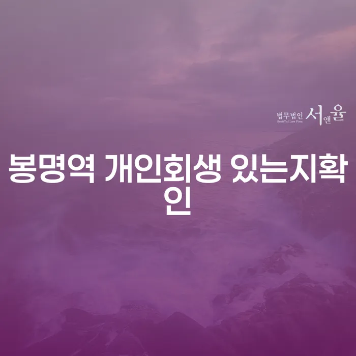 봉명역 개인회생 있는지확인