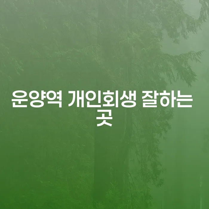 운양역 개인회생 잘하는 곳