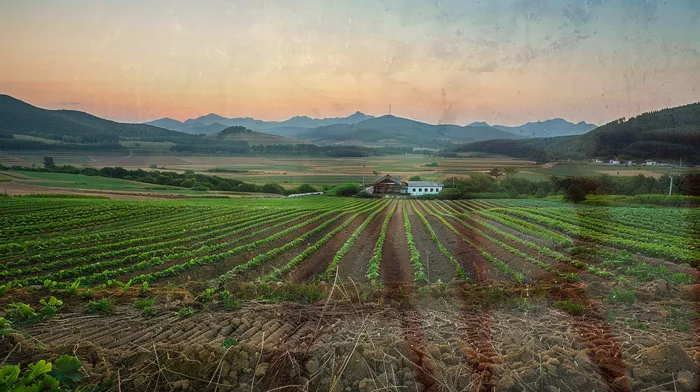 신용 점수 회복