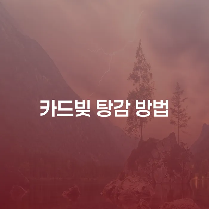 카드빚, 개인사업자 대출, 개인회생으로 해결할 수 있을까?