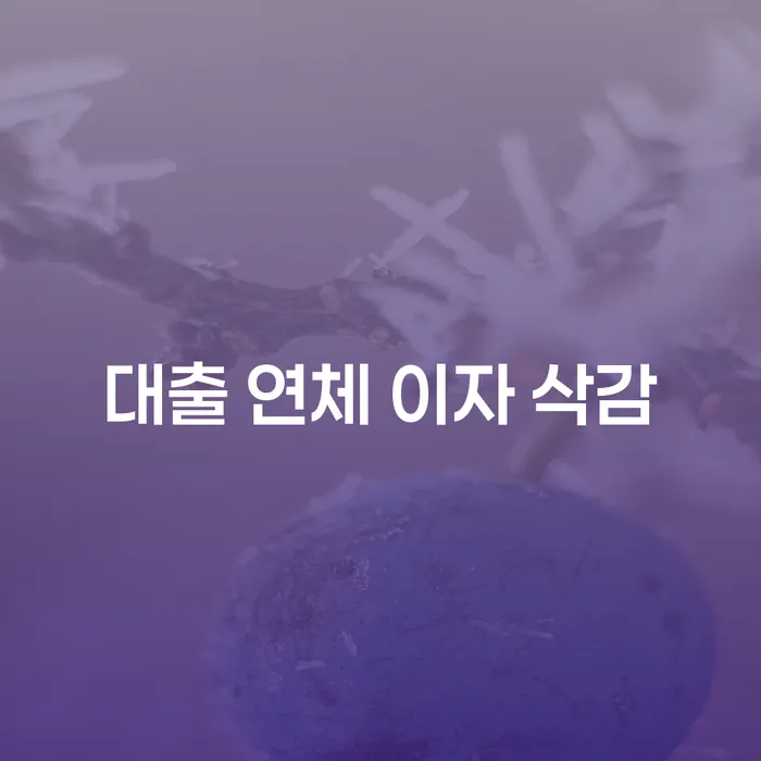 대출 연체 이자 삭감, 어떻게 해결할 수 있을까요?