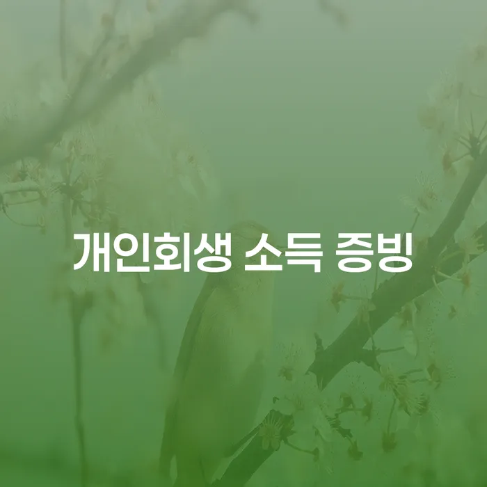 개인회생 소득 증빙이 필요할 때, 어떻게 해야 할까요?