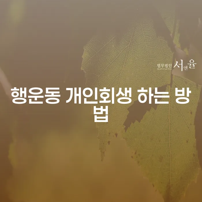 행운동 개인회생 하는 방법을 알아보세요: 채무 해방의 첫걸음