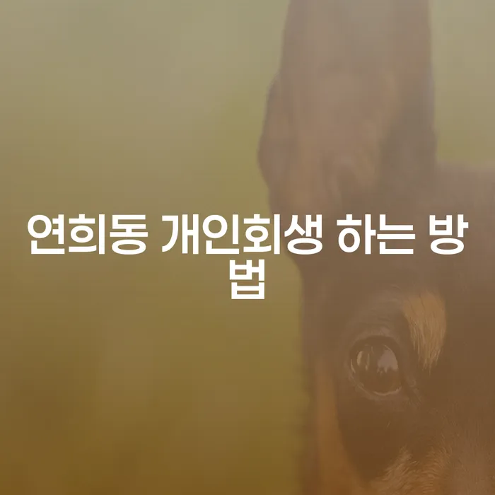 연희동에서 개인회생 하는 방법, 어떻게 시작해야 할까요?