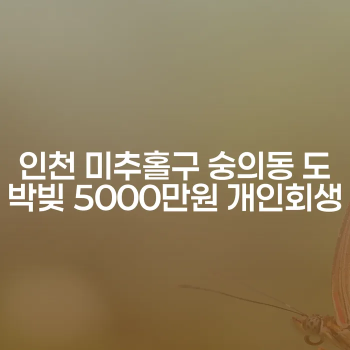 인천 미추홀구 숭의동 도박빚 5000만원 개인회생, 어떻게 해결할 수 있을까요?