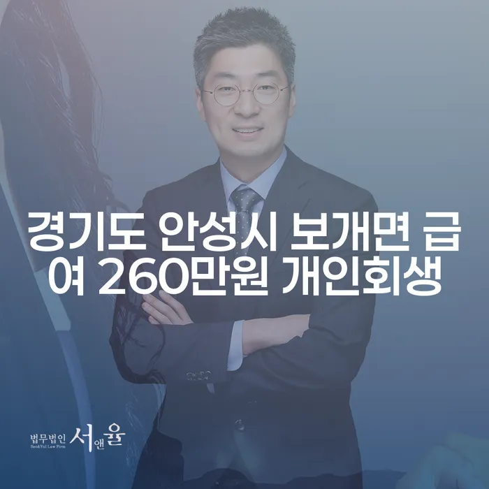 경기도 안성시 보개면 급여 260만원으로 개인회생을 신청할 수 있을까요?