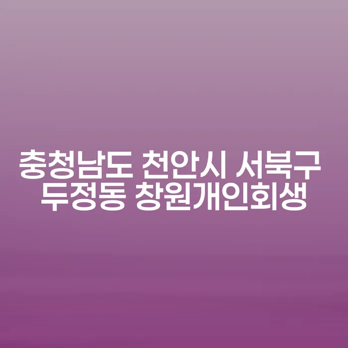충청남도 천안시 서북구 두정동 창원개인회생, 구미개인회생 이렇게 해결하세요!