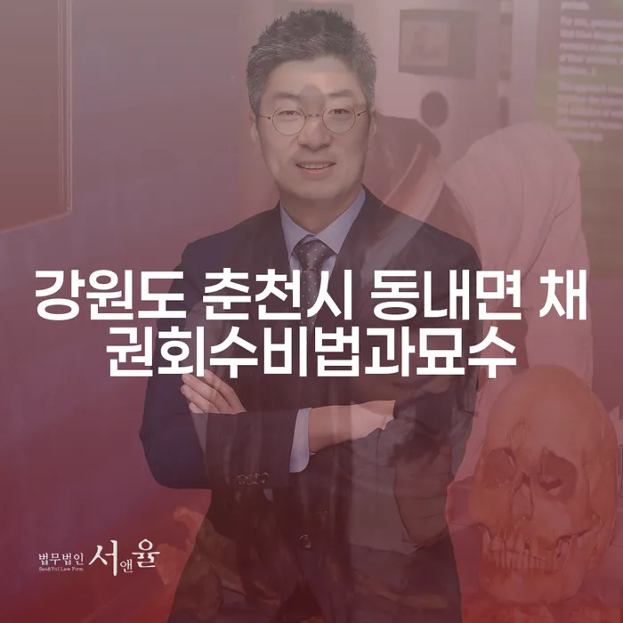 강원도 춘천시 동내면에서의 채권 회수 비법과 묘수: 직장인 개인회생의 해답을 찾아보세요