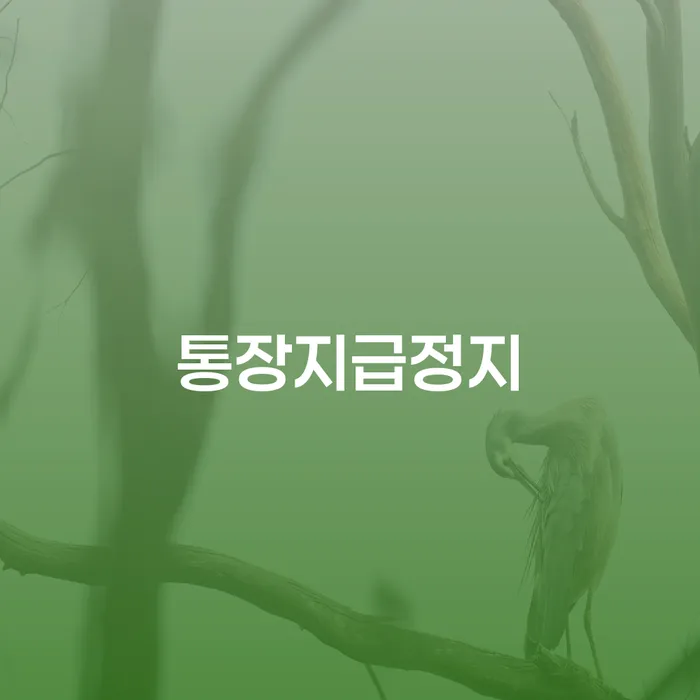 통장지급정지와 법인사채에 대한 이해: 개인회생과 개인파산의 길을 찾는 법