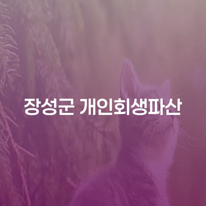 장성군 개인회생파산, 어떻게 준비할 수 있을까요?