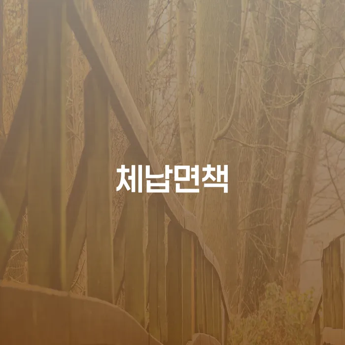 체납면책을 통해 불법추심처벌을 피하는 방법은?