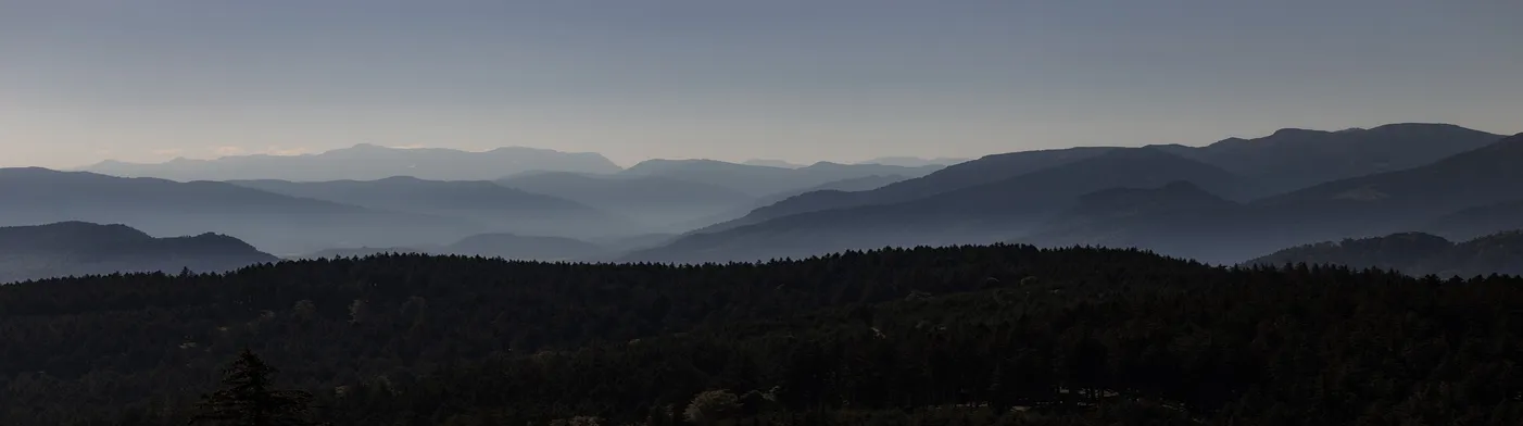 법무법인 서앤율