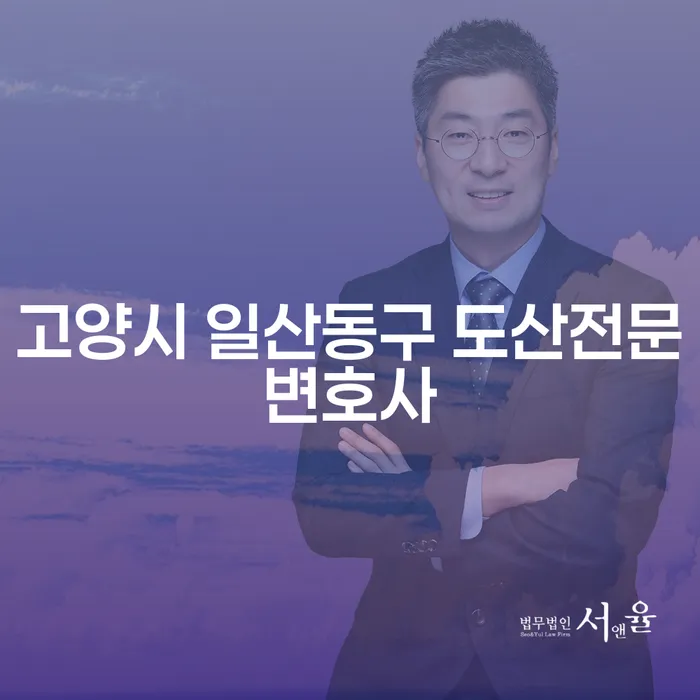 고양시 일산동구에서 도산 전문 변호사를 찾고 계신가요? 완주군 개인회생과의 차이점은 무엇일까요?